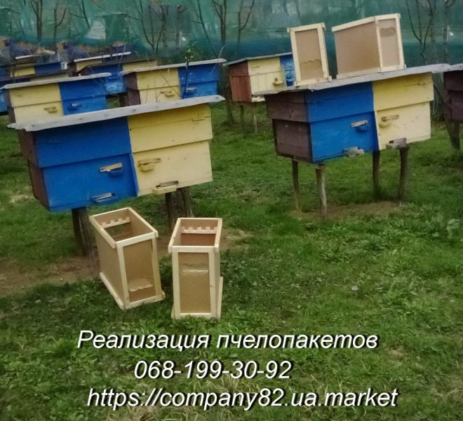Продам пчёл: Пчелопакеты и плодные меченые матки. 