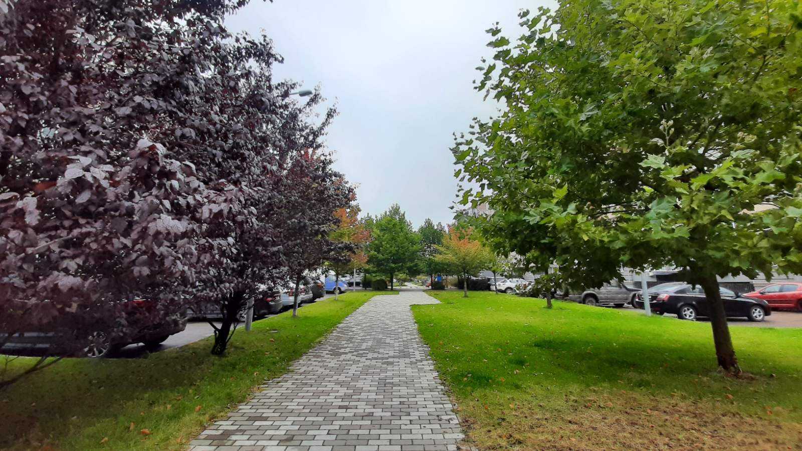 продаж 3-к квартира Київ, Голосіївський, 200000 $