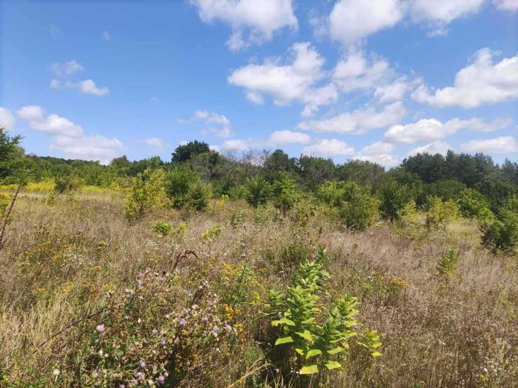 продаж ділянка під житлову забудову Обухівський, Богуслав, 9900 $