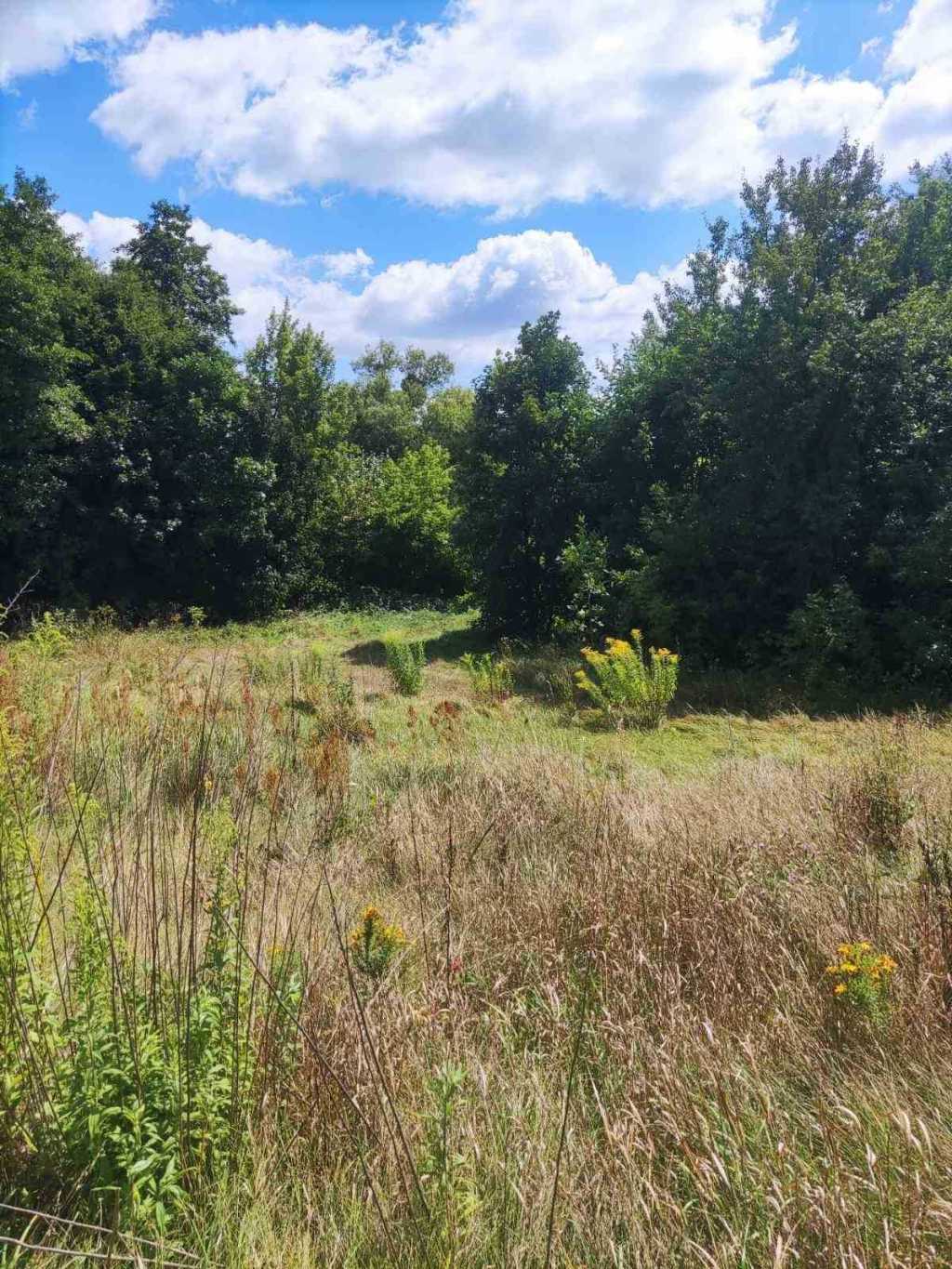 продаж ділянка під житлову забудову Обухівський, Богуслав, 9900 $