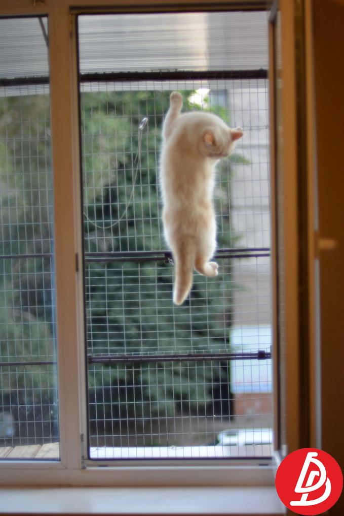 Вольер для кошек на окно.  